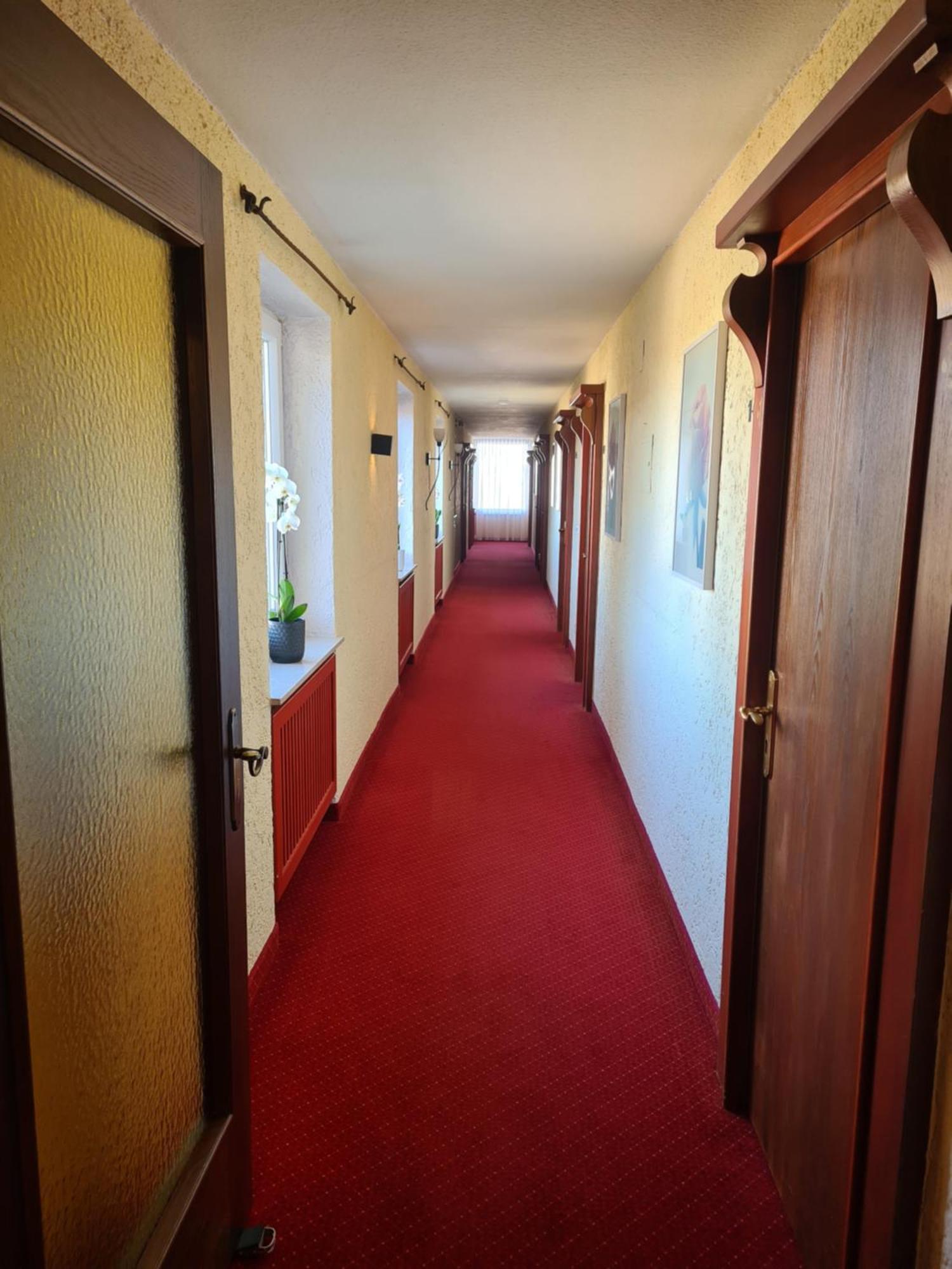 Hotel Birkenmoor Scheidegg Esterno foto